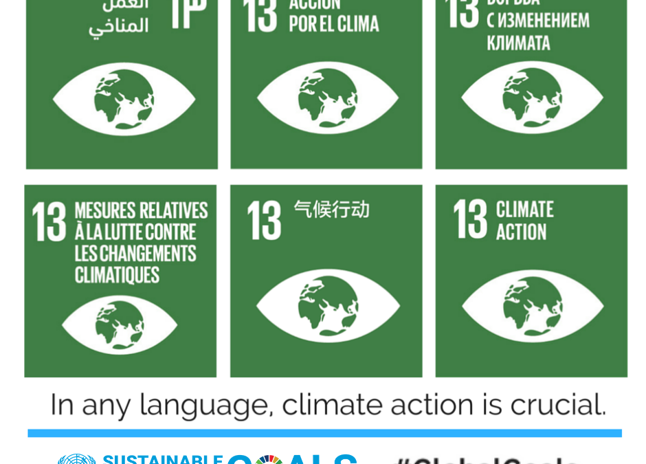 IDW: Climate Action for Human Rights through Education