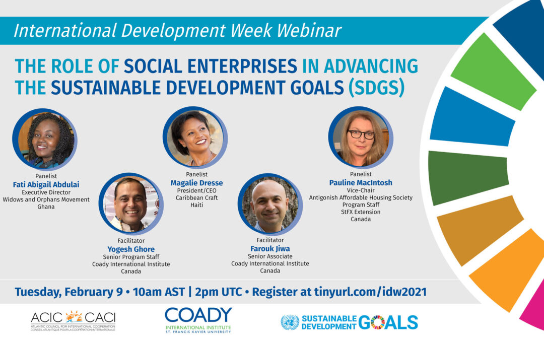 IDW Webinar: The Role of Social Enterprises in Advancing the Sustainable Development Goals (SDGs)