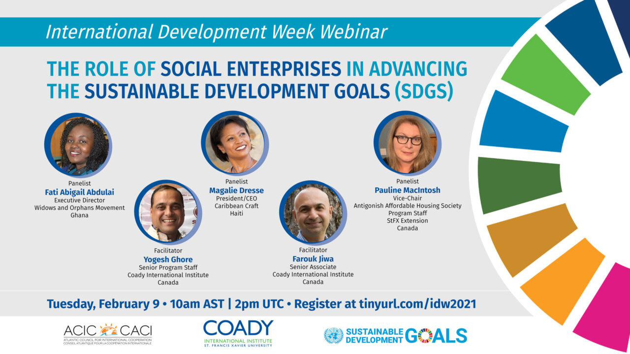 IDW Webinar: The Role of Social Enterprises in Advancing the ...