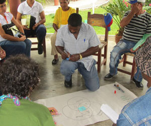 INCA on local seed certification methodology in Cuba