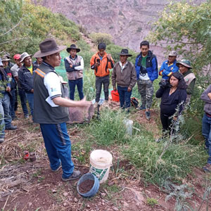 PRODII on the Participatory Guarantee System pilot in Bolivia