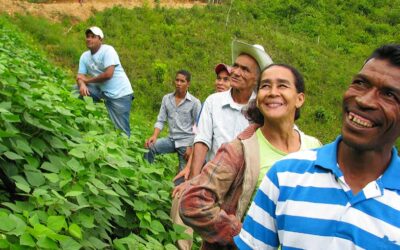 FIPAH on the local certification system of PPB varieties through CSBs and formal system pilot in Honduras