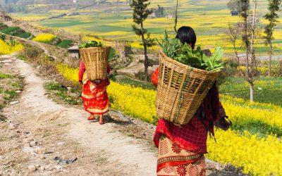 Travel and Learn in Nepal