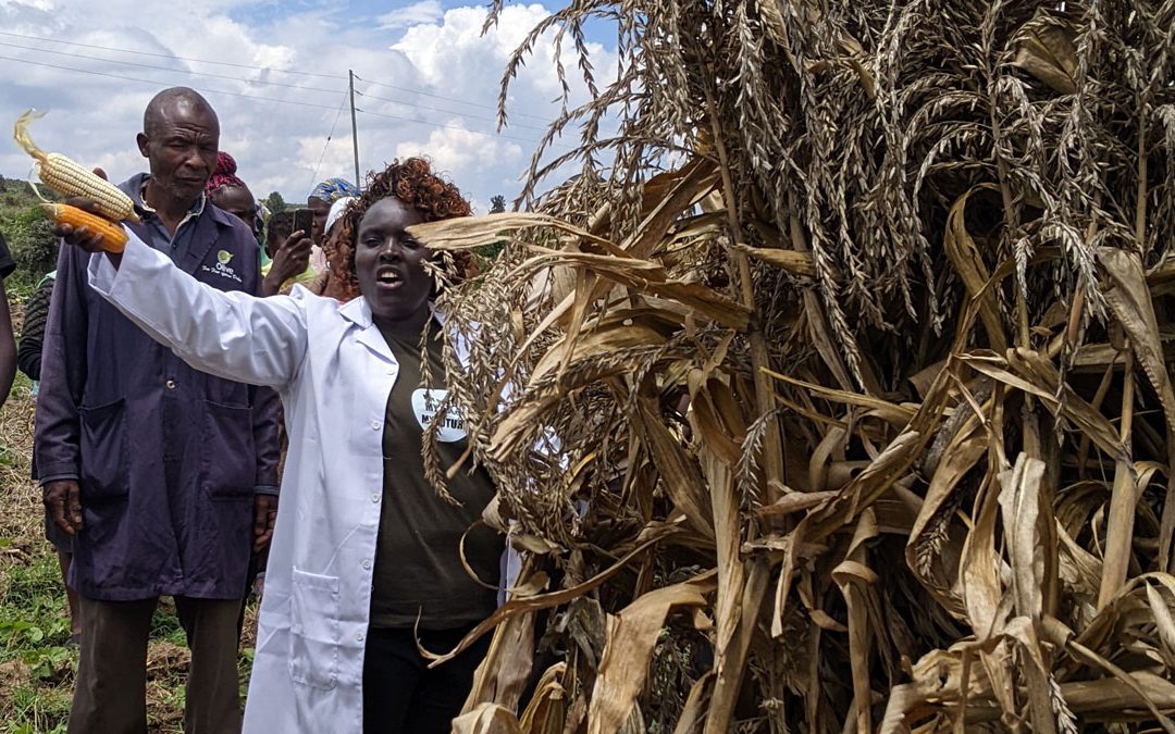 Gender-transformative Agroecology for Climate Resilience